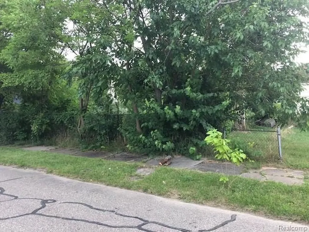 300 Horton Street Detroit City MI 48202