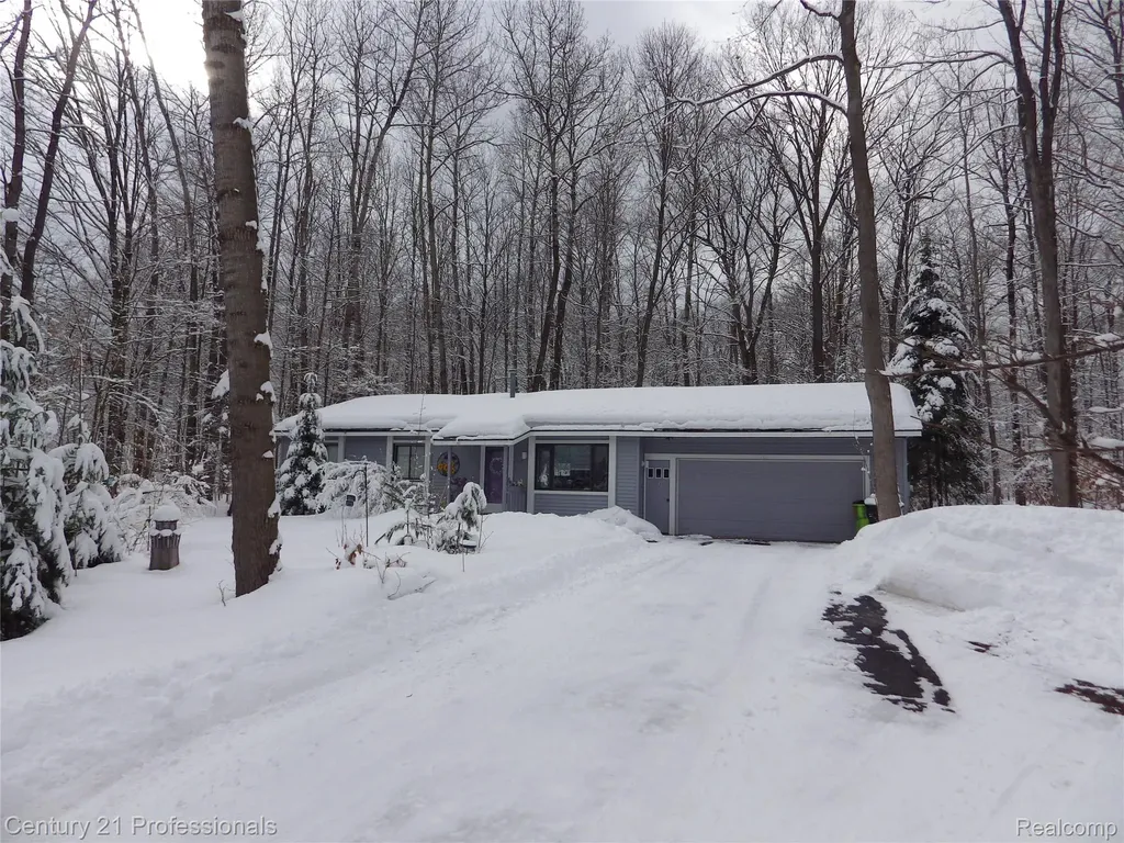 1137 Reads Run Long Lake Township MI 49685