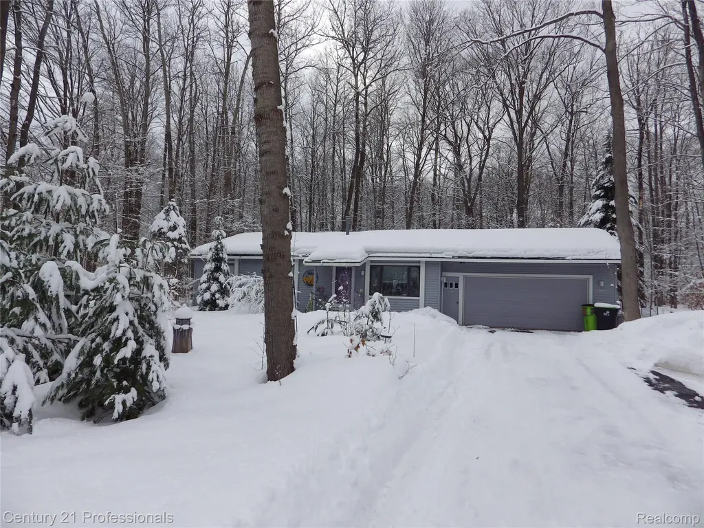 1137 Reads Run Long Lake Township MI 49685
