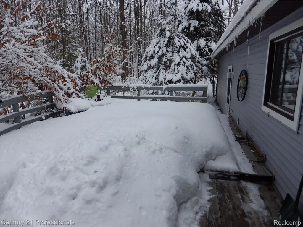 1137 Reads Run Long Lake Township MI 49685