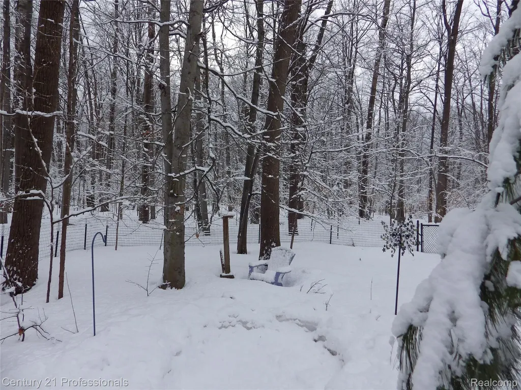 1137 Reads Run Long Lake Township MI 49685