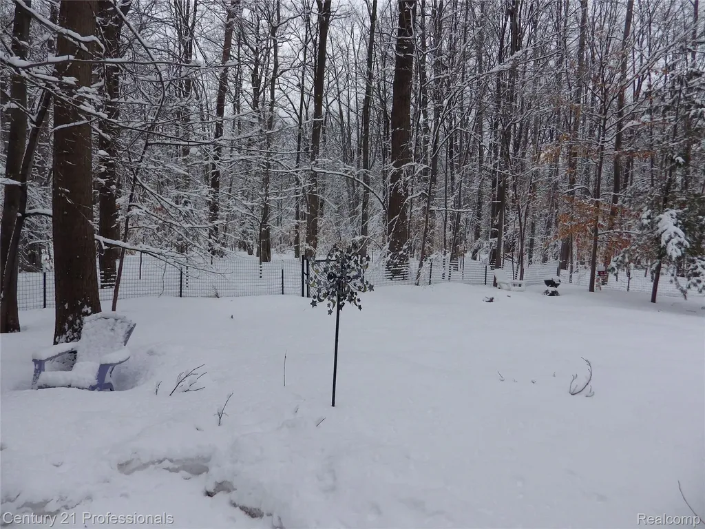 1137 Reads Run Long Lake Township MI 49685