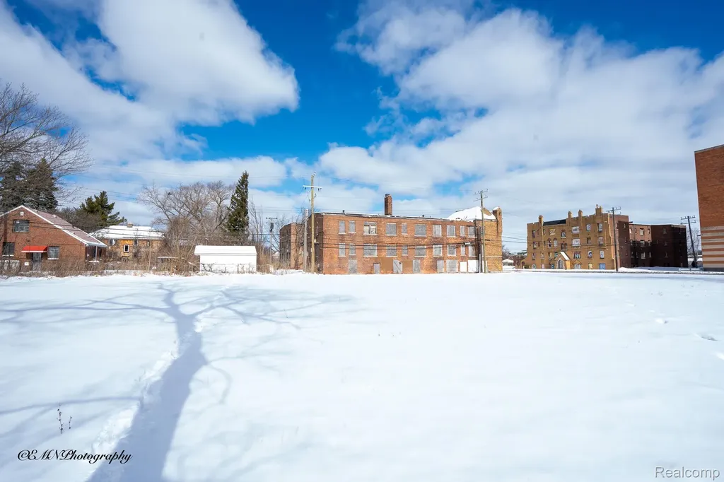 13523 Greiner Street Detroit City MI 48205