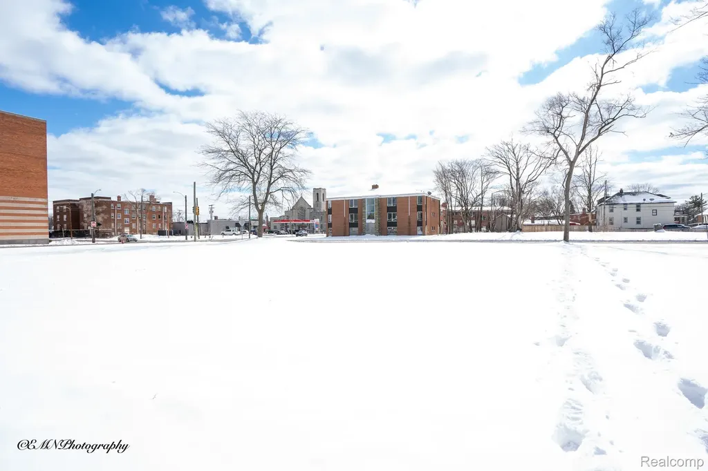 13523 Greiner Street Detroit City MI 48205