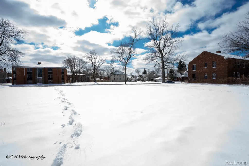 13523 Greiner Street Detroit City MI 48205