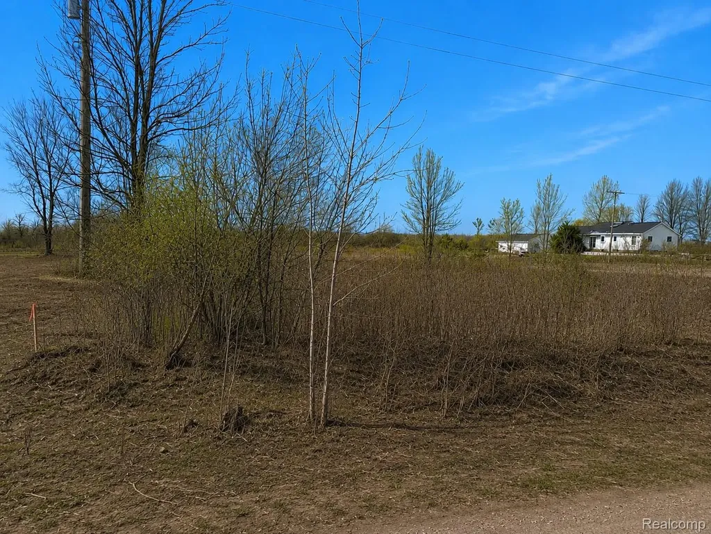 2969 Reeves Road Riley Township MI 48041
