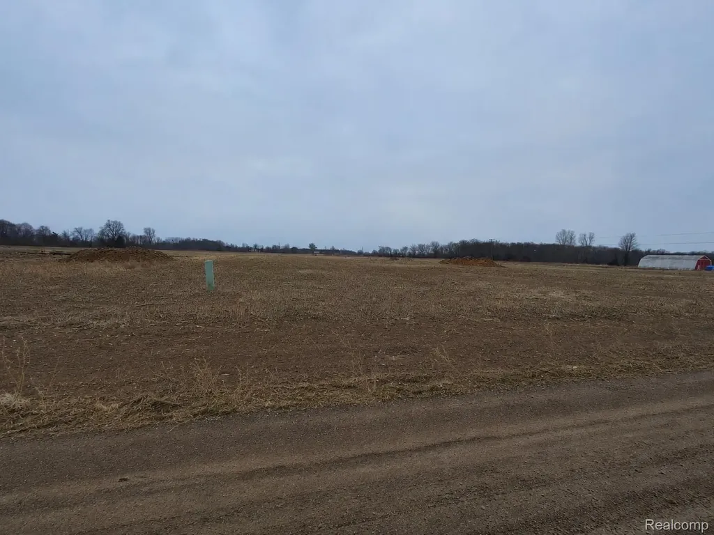 2969 Reeves Road Riley Township MI 48041
