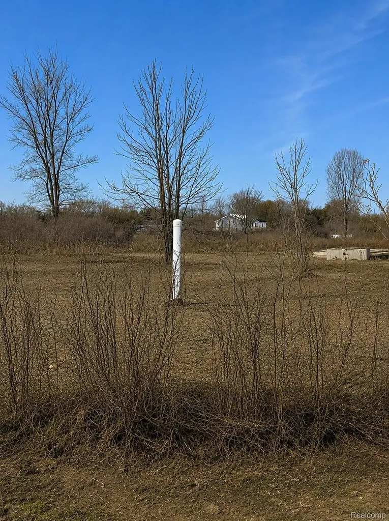 2969 Reeves Road Riley Township MI 48041