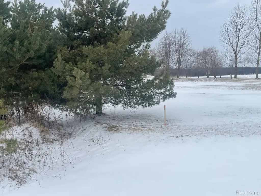 2969 Reeves Road Riley Township MI 48041