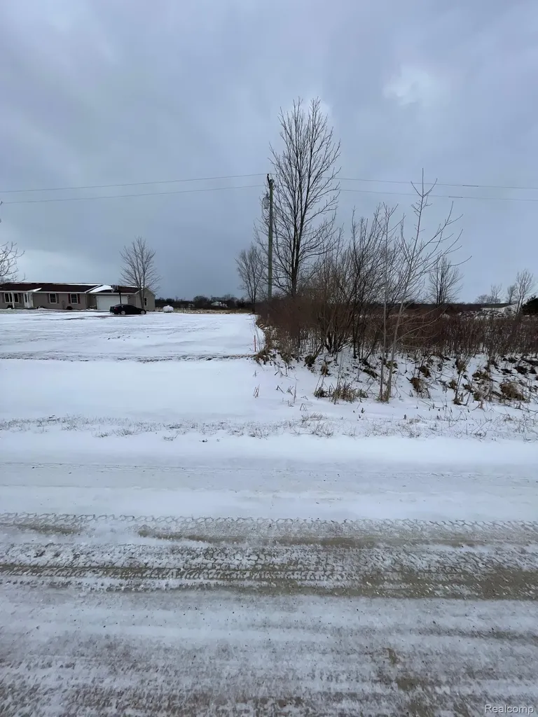 2969 Reeves Road Riley Township MI 48041