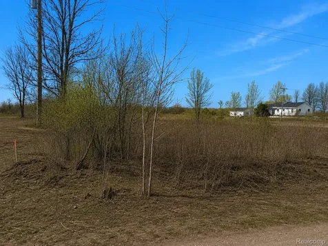 2969 Reeves Road Riley Township MI 48041