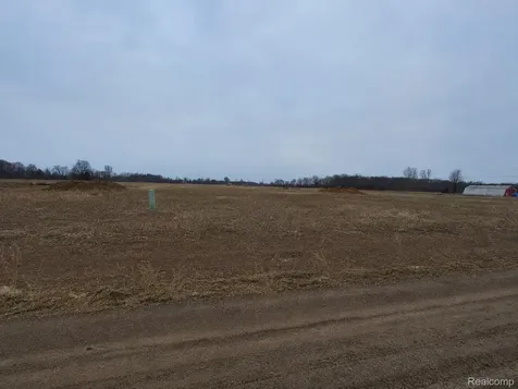 2969 Reeves Road Riley Township MI 48041