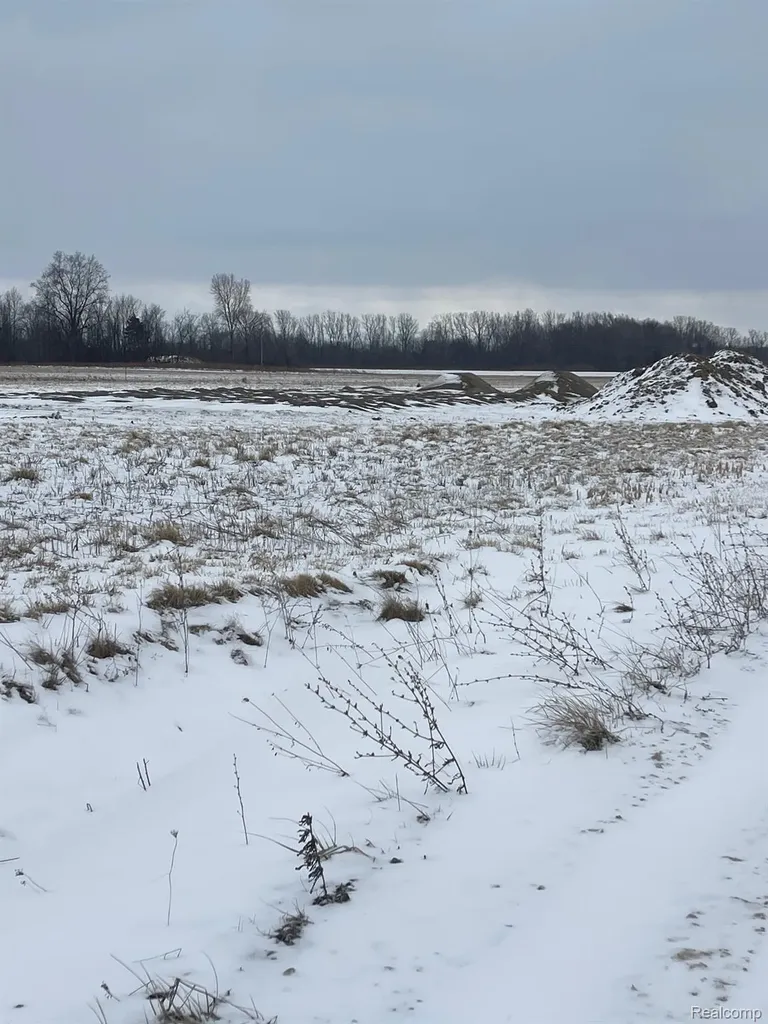 13199 Masters Road Masters Road Riley Township MI 48041