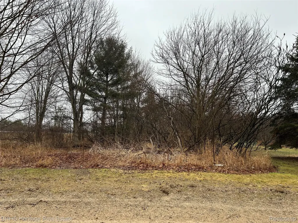 0 Cedar Road Handy Township MI 48836