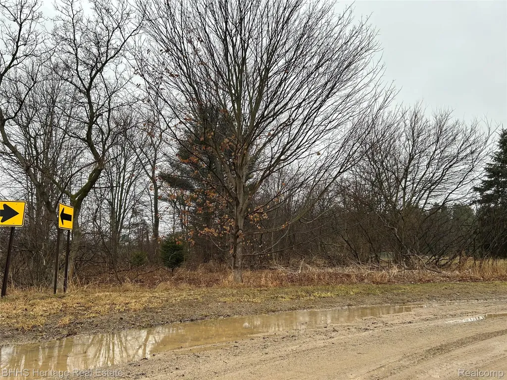 0 Cedar Road Handy Township MI 48836