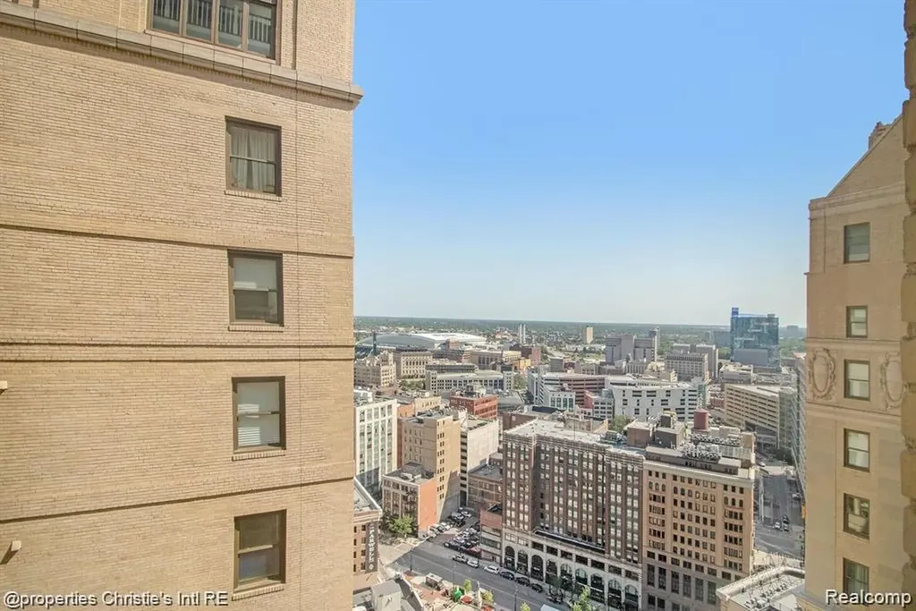 1135 Shelby Street Detroit City MI 48226