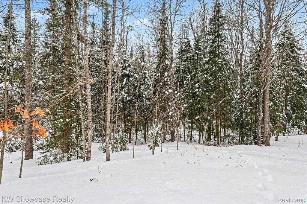 1951 Kneeland Road Comins Township MI 48621
