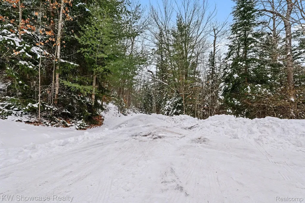 1951 Kneeland Road Comins Township MI 48621