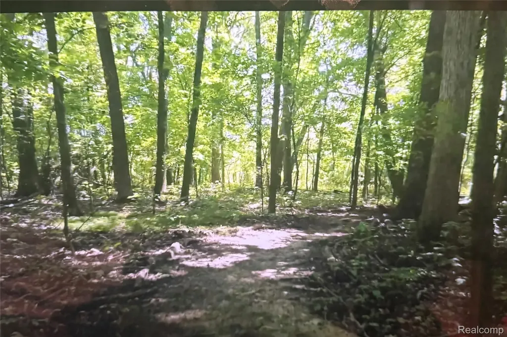 00 Rolling Acres Drive Brandon Charter Township MI 48462