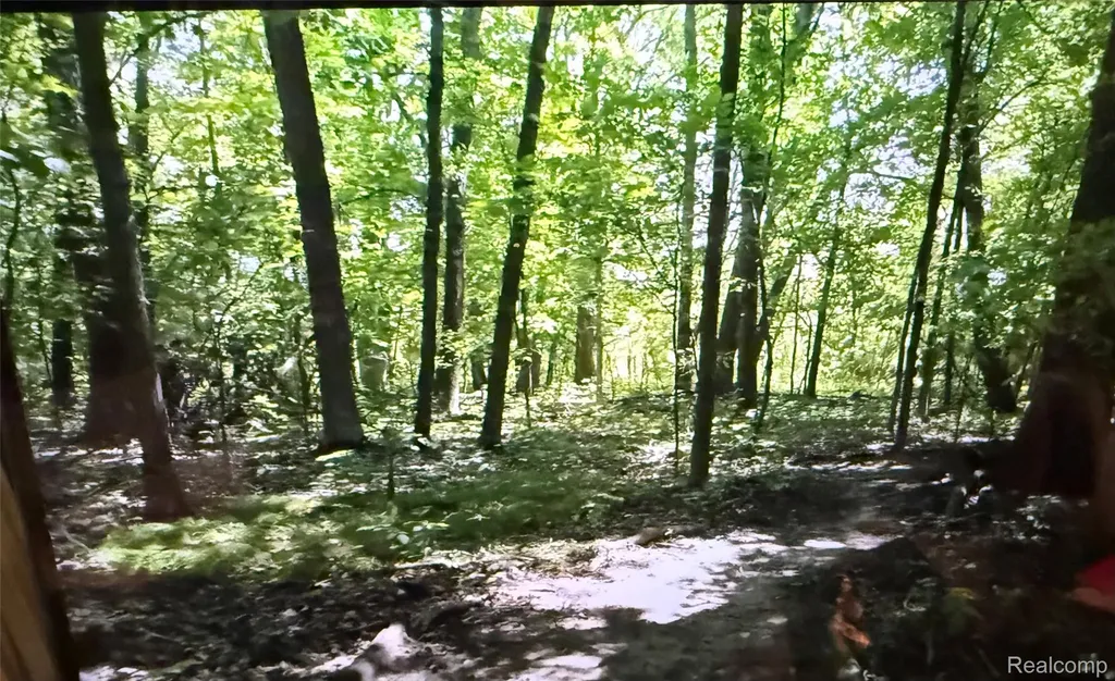 00 Rolling Acres Drive Brandon Charter Township MI 48462