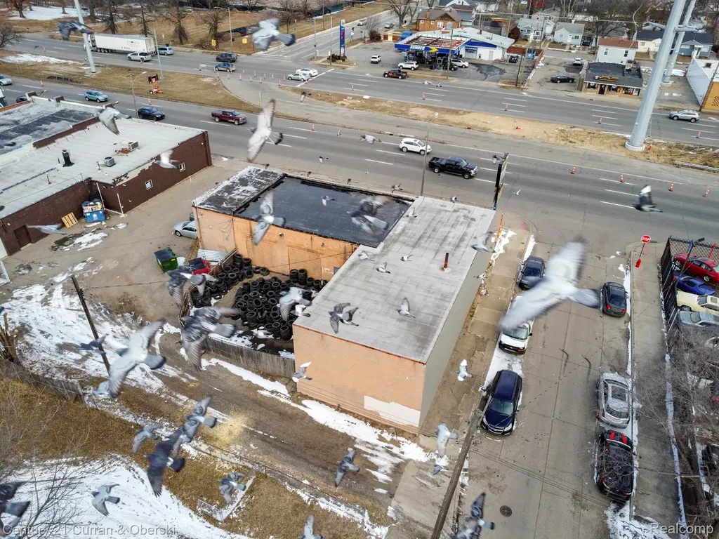 7417 W 8 Mile Road Detroit City MI 48221