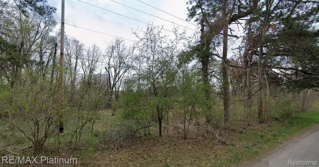 010 South Long Lake / Torrey Road Fenton City MI 48430