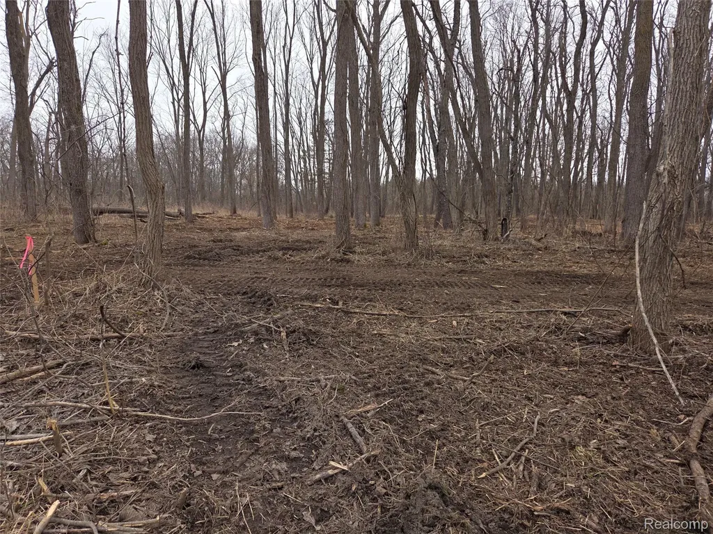Parcel B Parcel B Cullen Road Hartland Township MI 48353