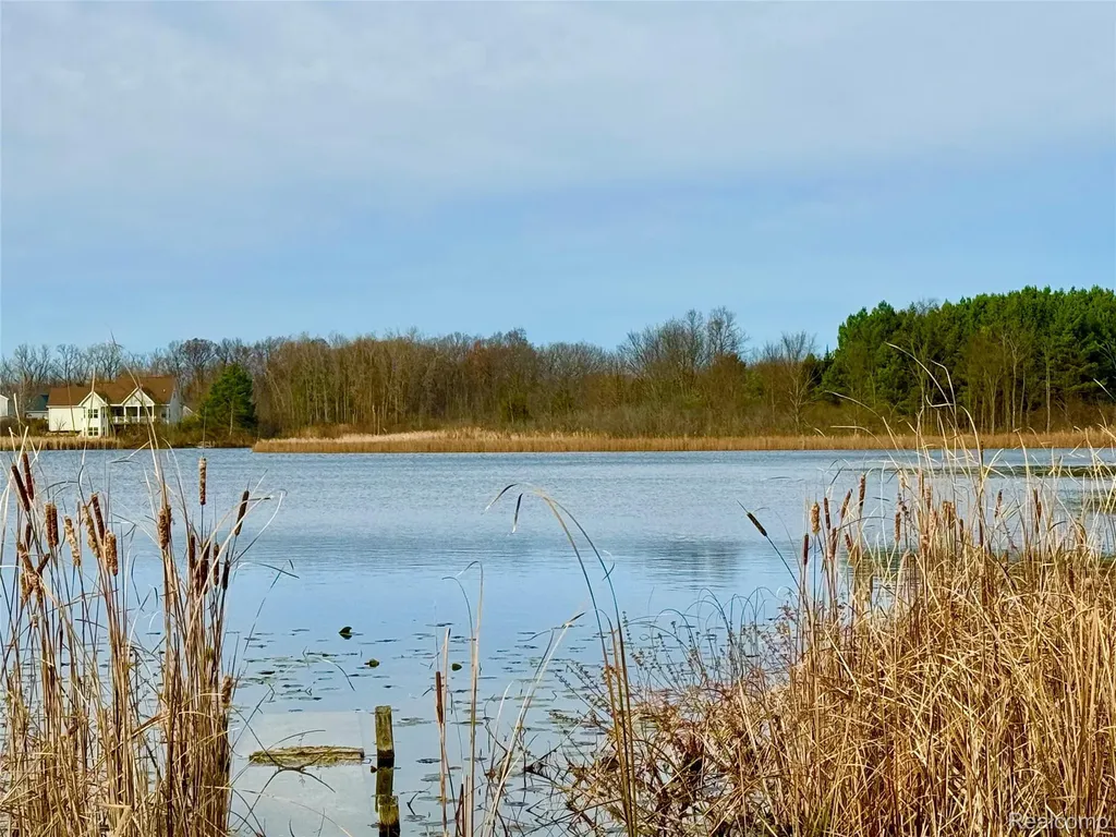 0 Butcher Road Fenton Charter Township MI 48430