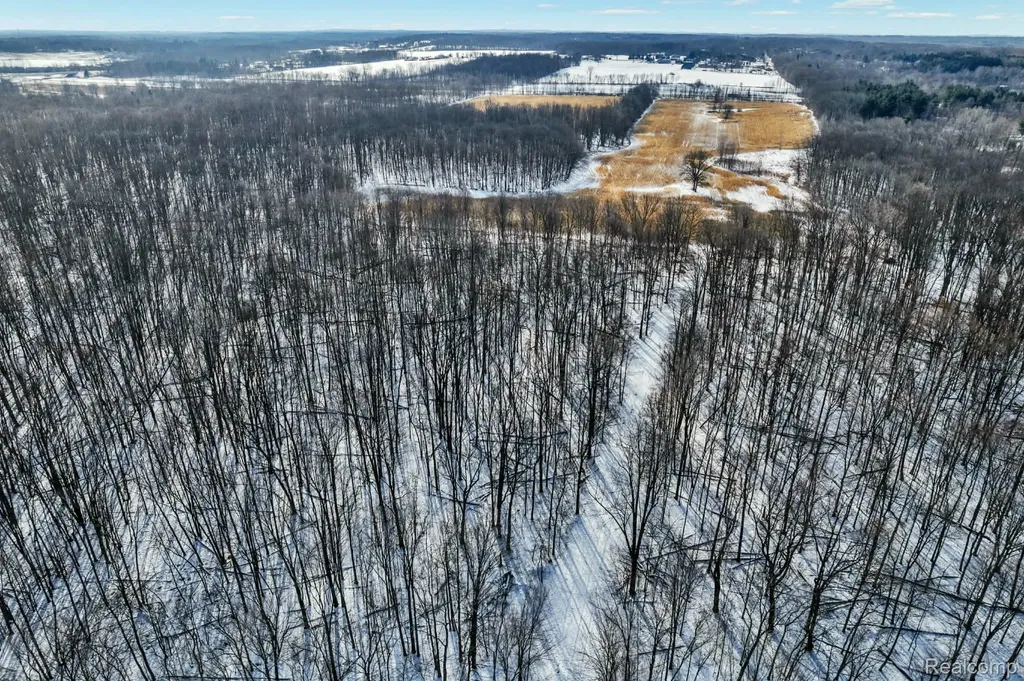 3766 Payne Road Attica Township MI 48412