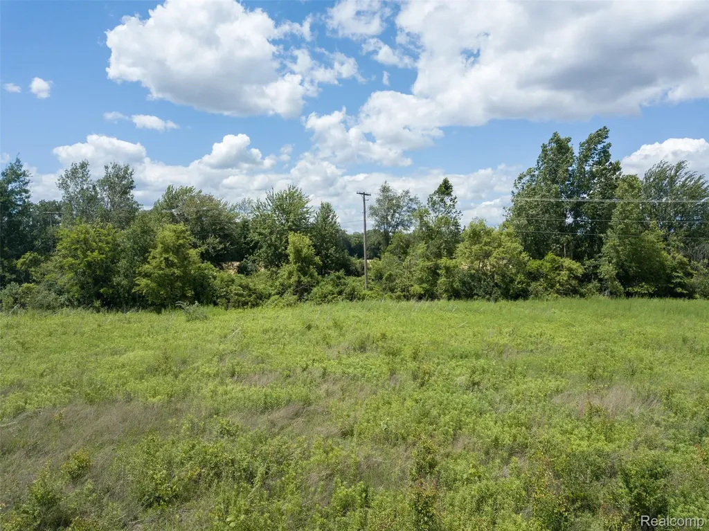 10467 Willis Road Augusta Charter Township MI 48191