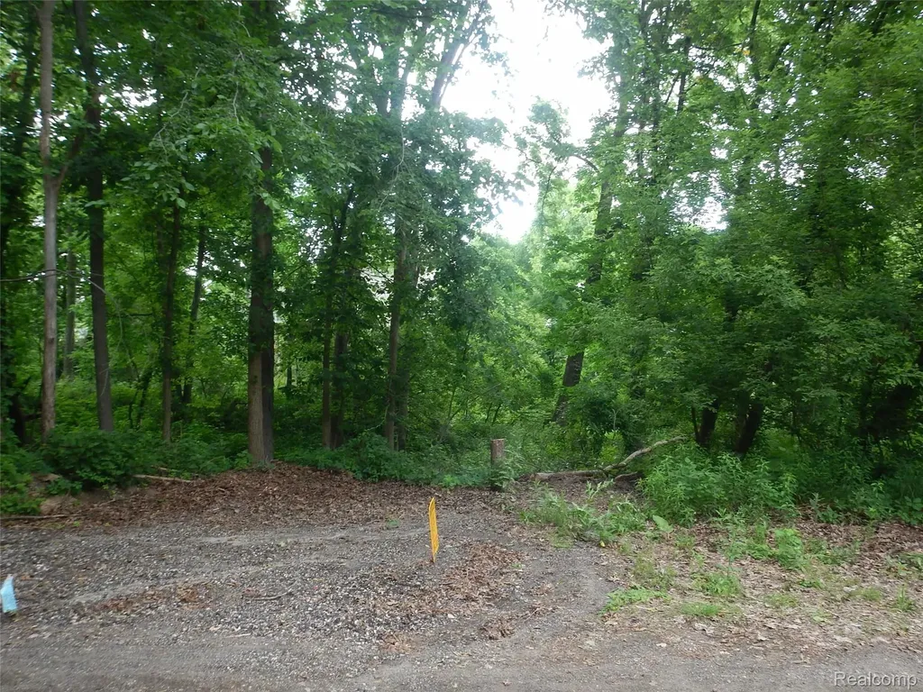 0 Johnson Drive | Lot 1 Lake Orion Village MI 48362
