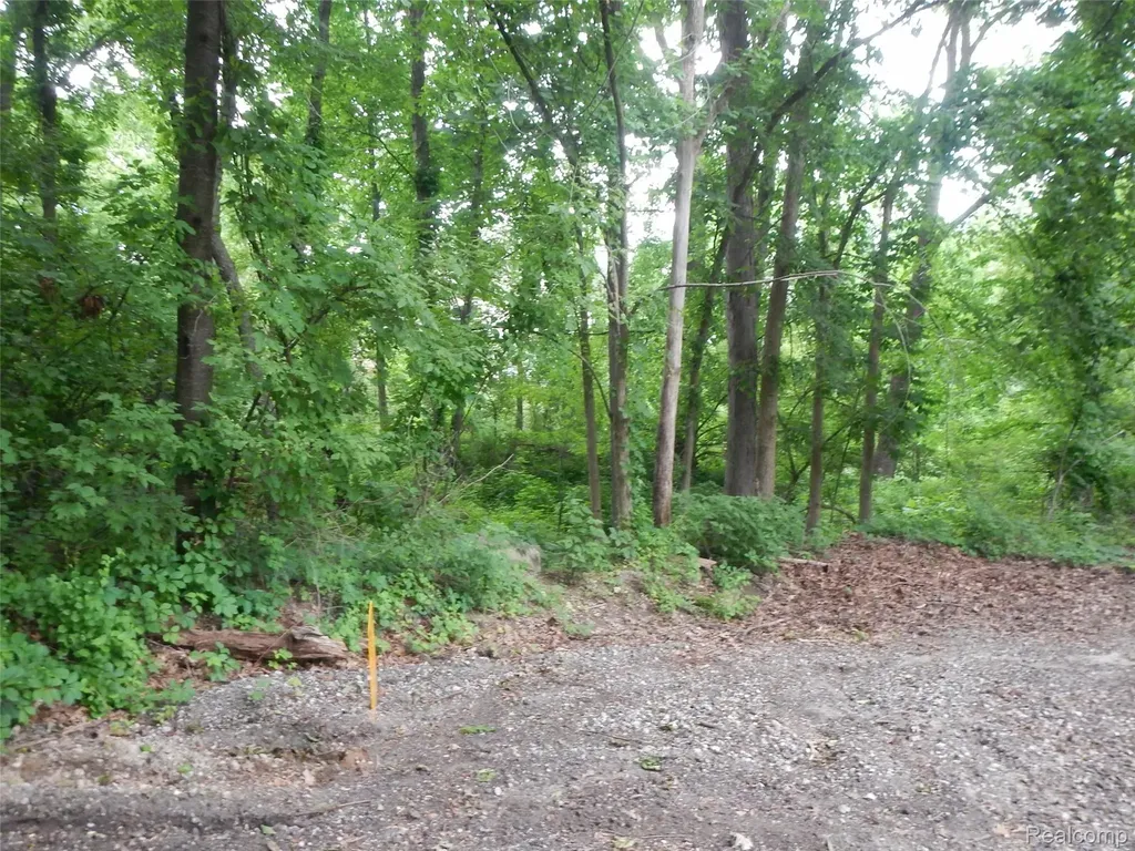 00 Johnson Drive | Lot 2 Lake Orion Village MI 48362