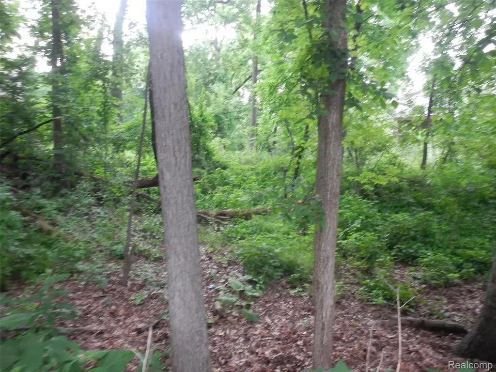 00 Johnson Drive | Lot 2 Lake Orion Village MI 48362