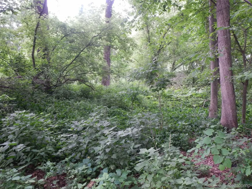 0000 Johnson Drive | Lot 4 Lake Orion Village MI 48362