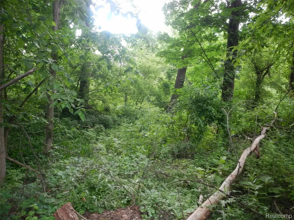 000 Johnson Drive | Lot 3 Lake Orion Village MI 48362