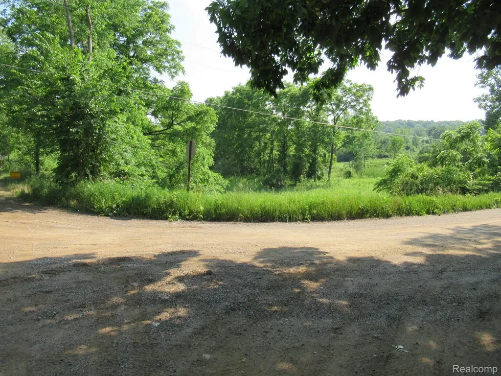 000 S Hadley Road Ortonville Village MI 48348