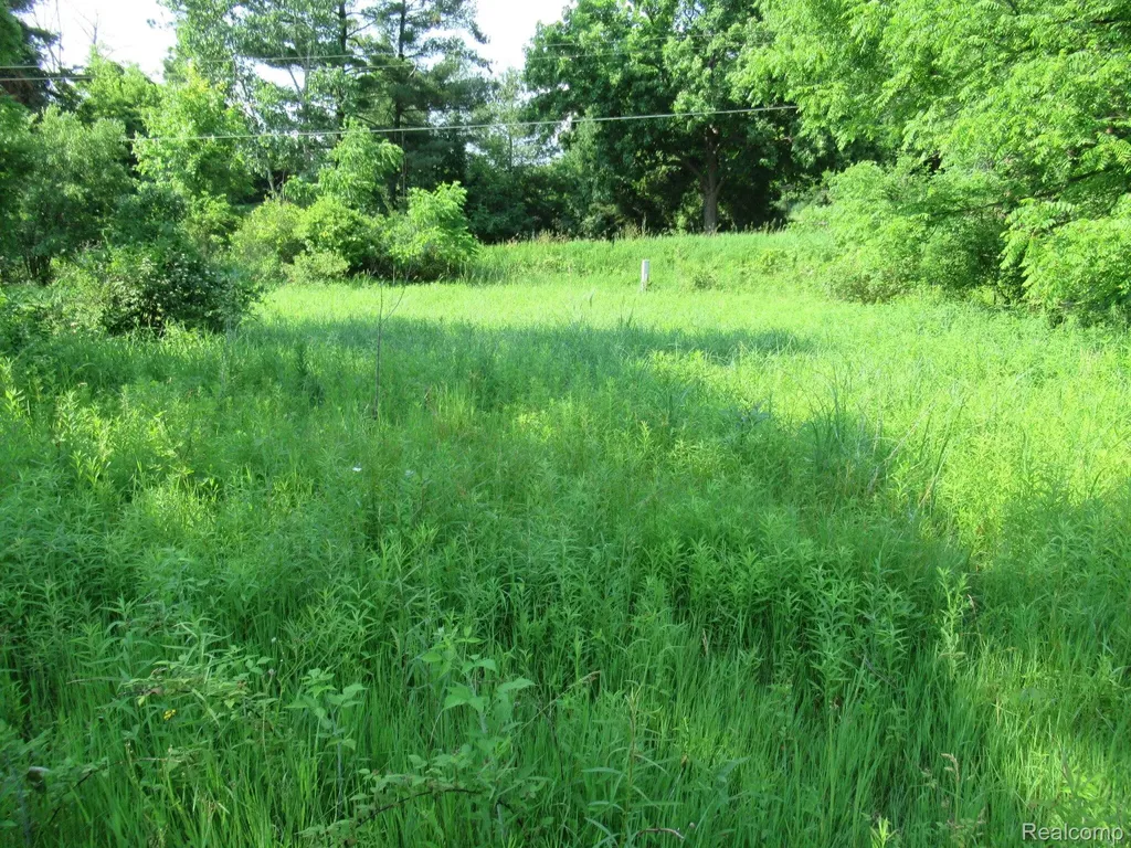 000 S Hadley Road Ortonville Village MI 48348