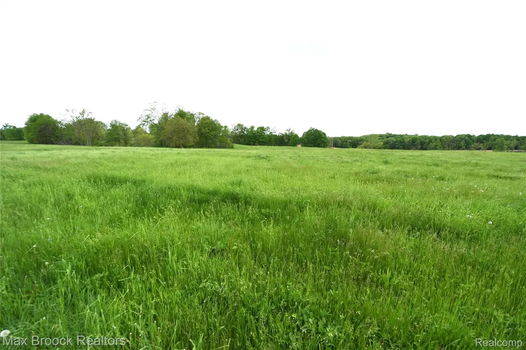 58282 Savage Road Newberg Township MI 49095