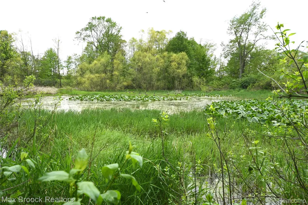 58282 Savage Road Newberg Township MI 49095