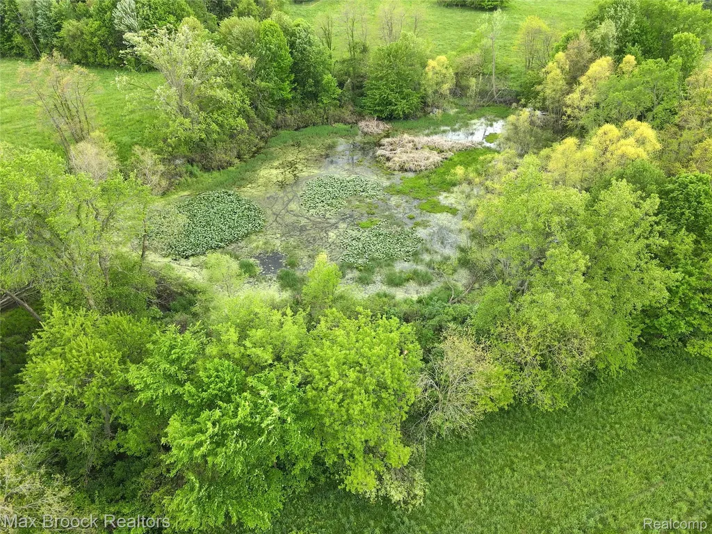 58282 Savage Road Newberg Township MI 49095
