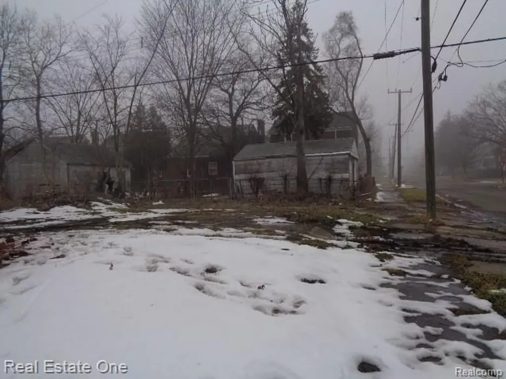 13445 Maiden Street Detroit City MI 48213