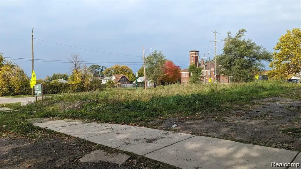 1720 Ford Street Detroit City MI 48238
