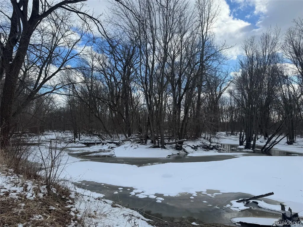 01 Remer Road China Township MI 48054