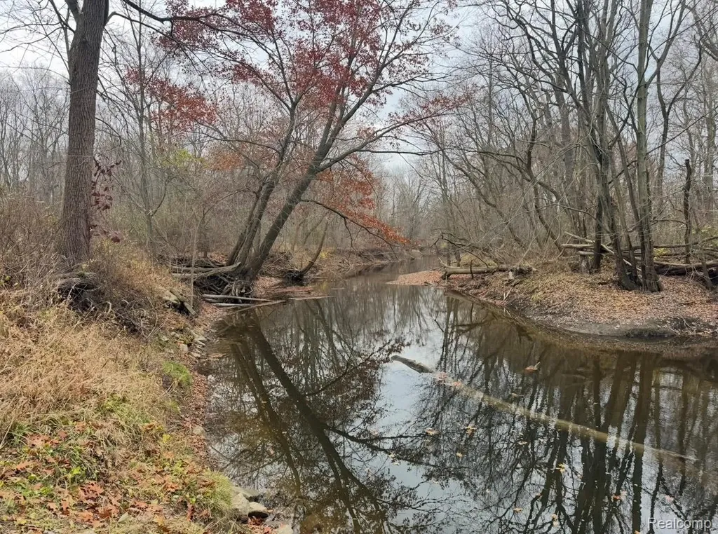01 Remer Road China Township MI 48054