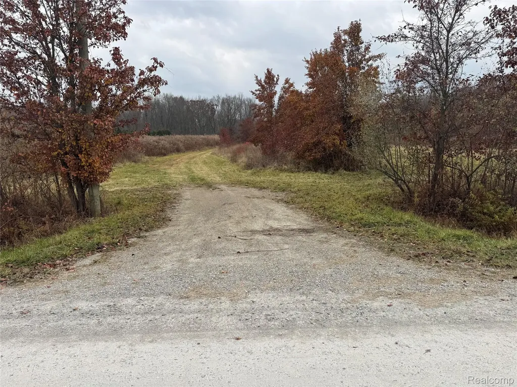 01 Remer Road China Township MI 48054