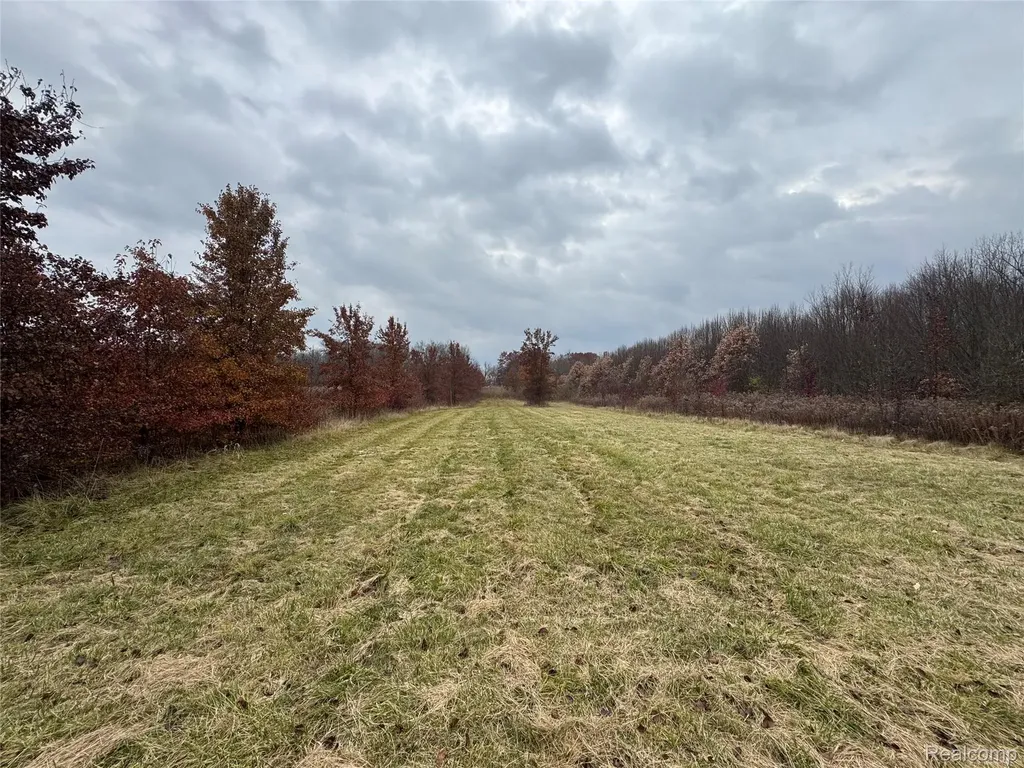 01 Remer Road China Township MI 48054