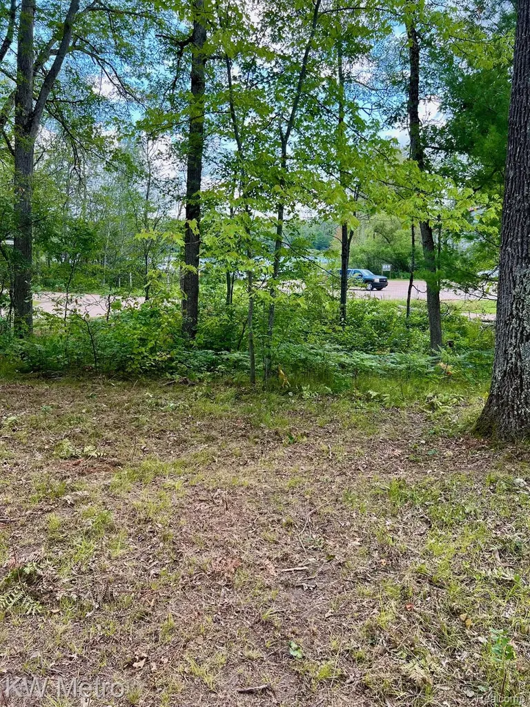 6629 S Tampa Yates Township MI 49642
