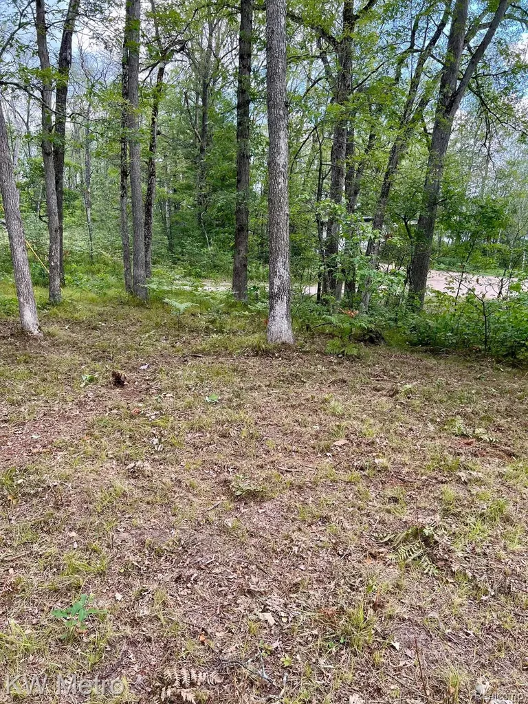 6629 S Tampa Yates Township MI 49642
