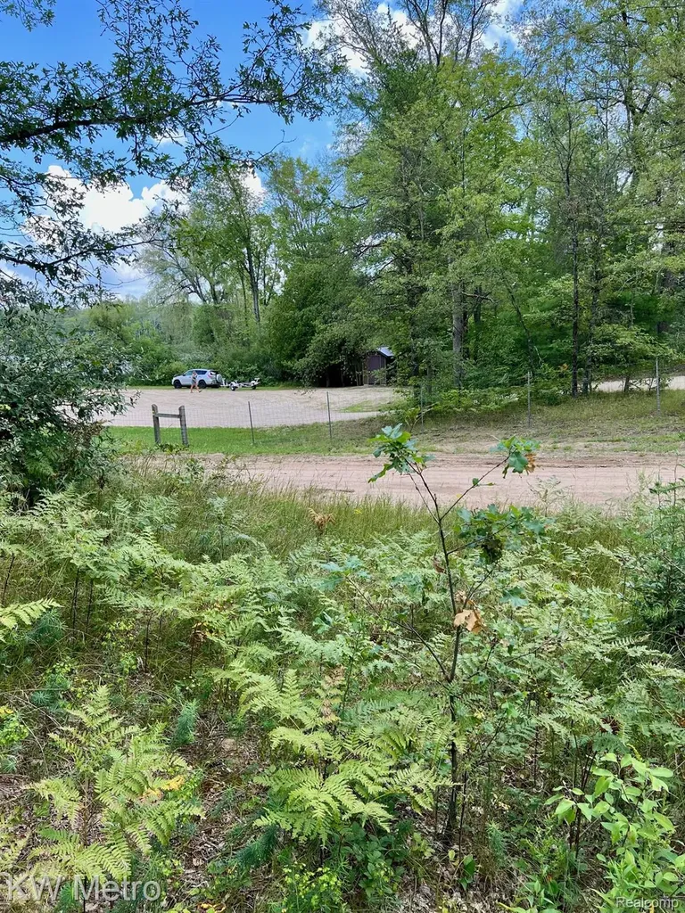 6629 S Tampa Yates Township MI 49642