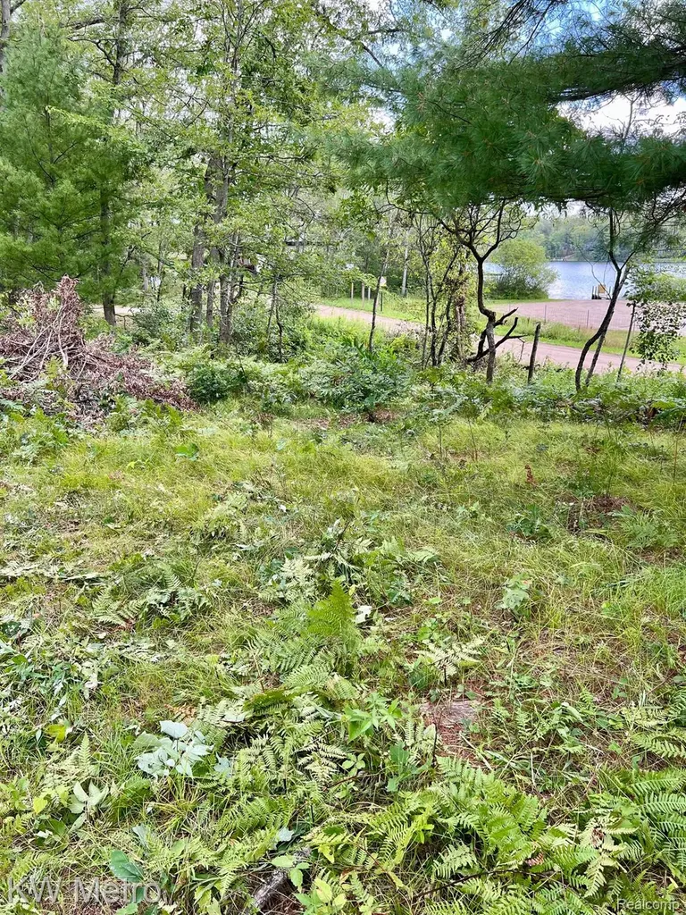 6629 S Tampa Yates Township MI 49642